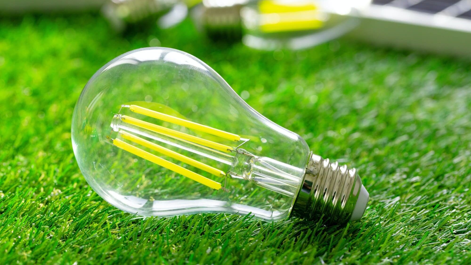Energy efficient light bulb lying on grass