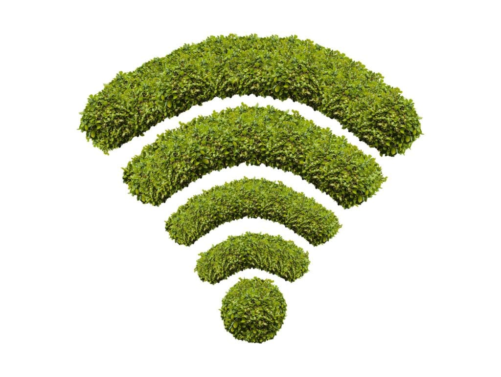 Tree wifi symbol, made by bushes shape.